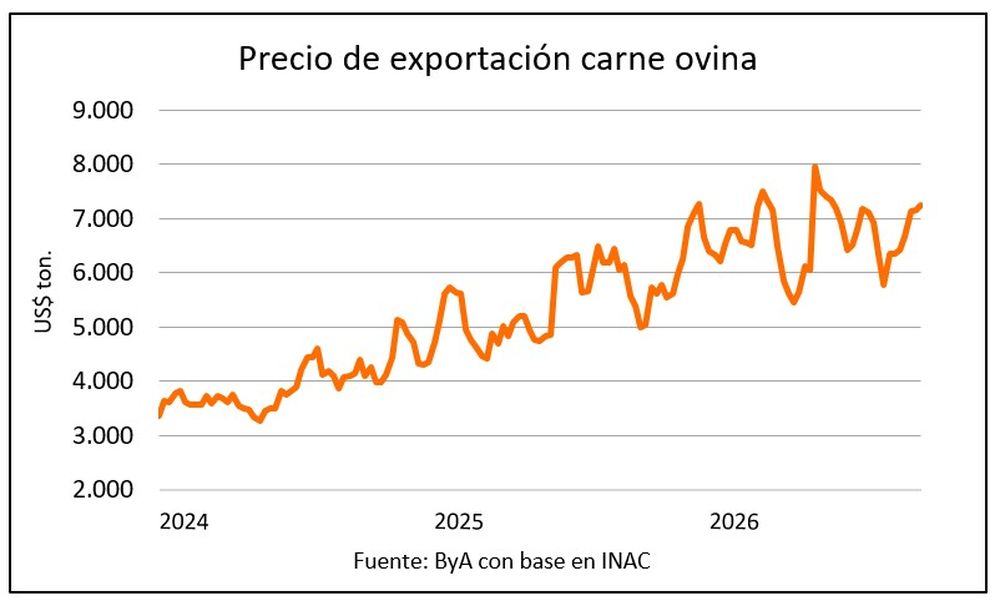 Carne ovina: repunte en los valores.