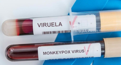 ¿que es y como se transmite la viruela del mono?