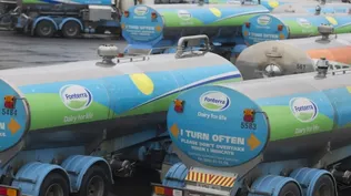 Lácteos: Fonterra, gigante de la industria láctea en el mundo.
