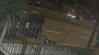 Accidente por picadas en el Buceo
