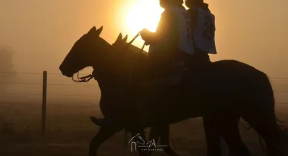 Caballos Criollos.