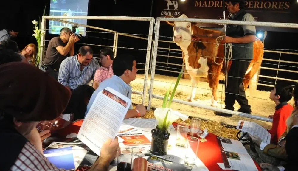 El remate Madres Superiores se realizó el lunes