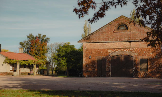 La bodega uruguaya que crece en Inglaterra, planea hacer un vino en Italia y apunta al enoturismo como canal de atracción y rentabilidad