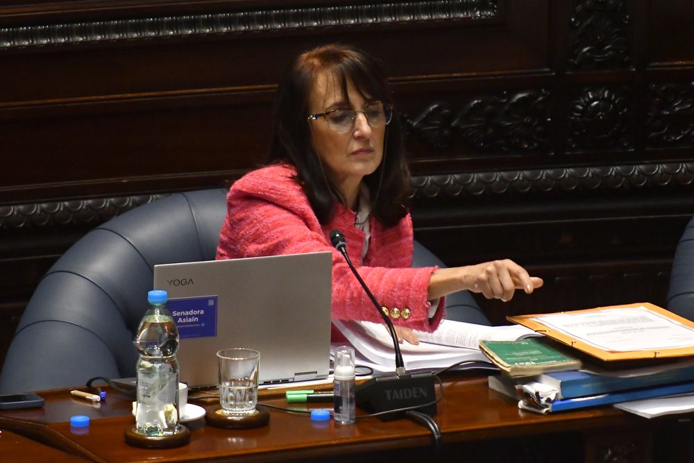 20240514 Senadora Carmen Asiaín