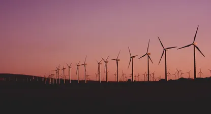 El Observador | 1670432868747.webp