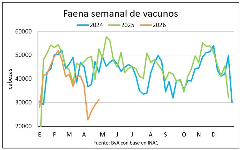 Faena de vacunos: en níveles mínimos.