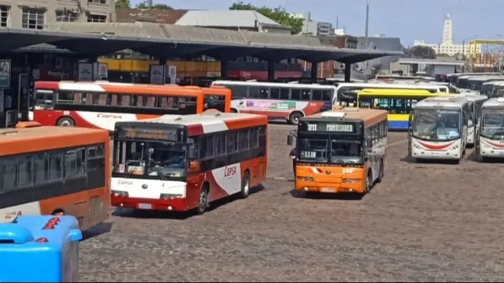 Ómnibus suburbanos. Archivo&nbsp;