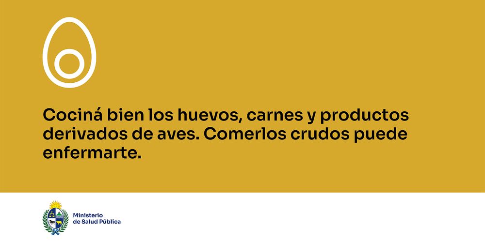 Gripe aviar: el gobierno trasladó varias recomendaciones.
