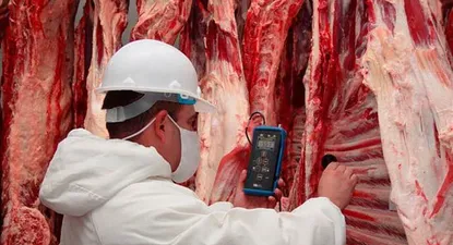 La millonaria pérdida de la segunda industria frigorífica de Uruguay