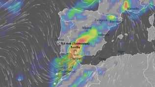EN DIRECTO | Aviso naranja de la AEMET en Sevilla: a qué hora se registrarán las mayores lluvias hoy miércoles EN DIRECTO | Aviso naranja de la AEMET en Sevilla: a qué hora se registrarán las mayores lluvias hoy miércoles