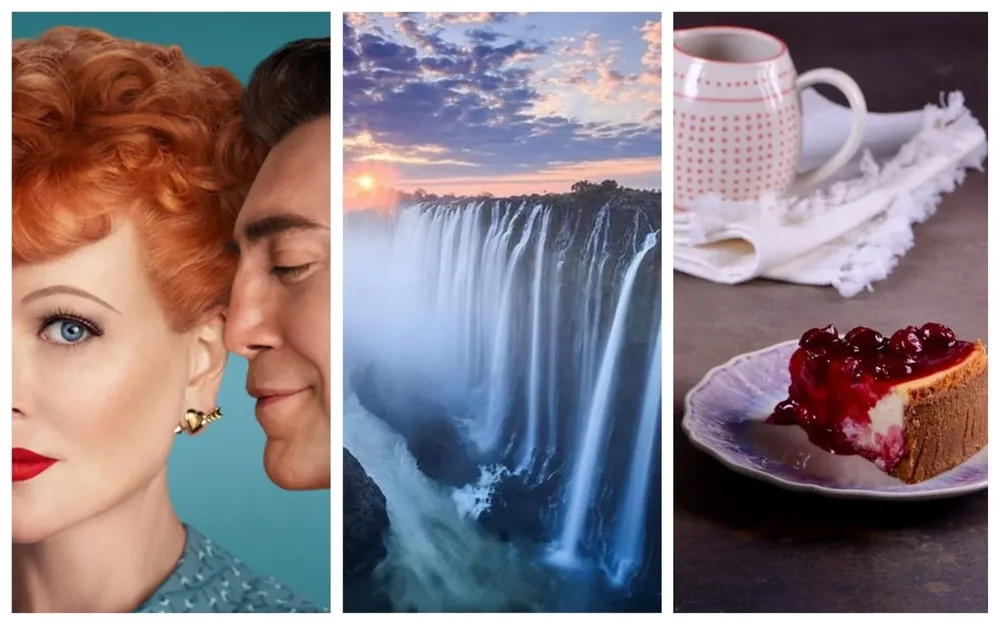 Cine, viajes virtuales y gastronomía, en el Picnic! de hoy