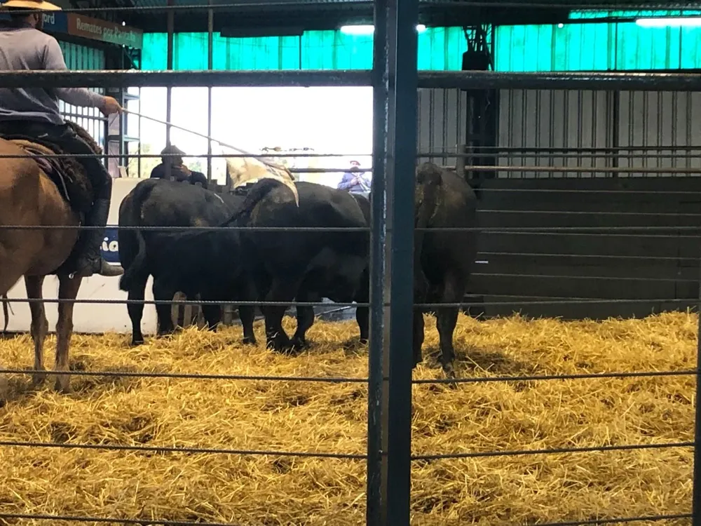 La venta se hizo en Tacuarembó.