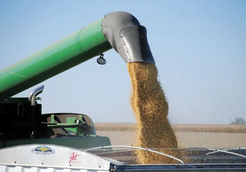 Brasil es el segundo productor mundial de la oleaginosa, detrás de EEUU