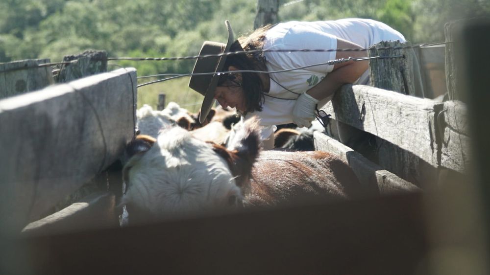 Garrapata... un obstáculo pesado en muchos sistemas ganaderos.