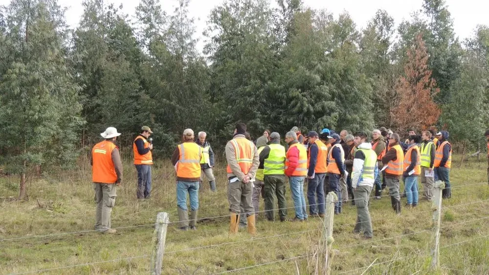 Las actividades se realizaron en ensayos en los establecimientos Santa Sabrina y Agrocampo.