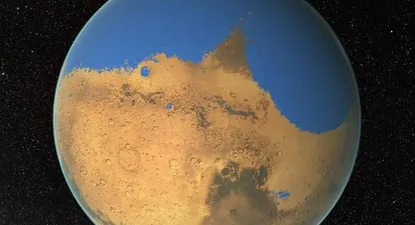 El Observador | 0000299889.webp