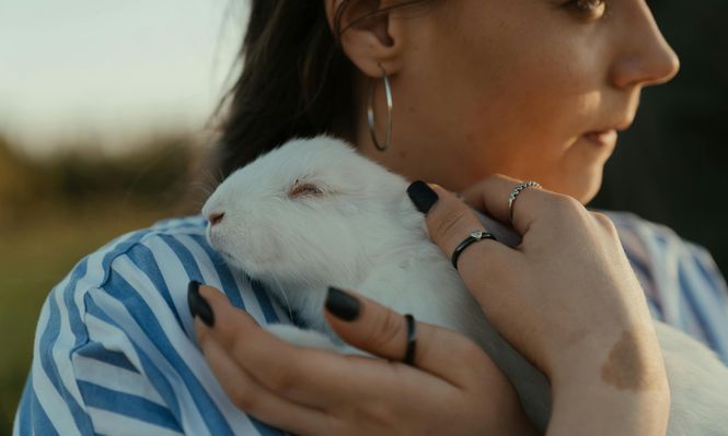 Conoce los 5 animales que nunca debes considerar como mascotas en tu hogar. &nbsp;