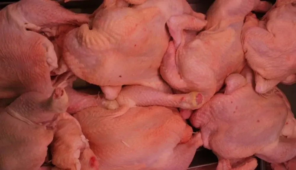 Actualmente el precio de la carne de pollo oscila en $ 66 el kilo