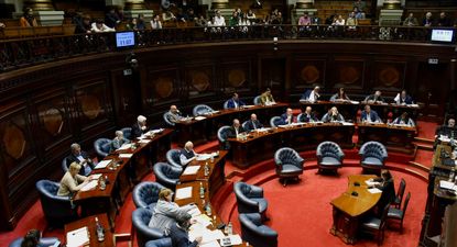La Cámara de Senadores discute renuncia de Charles Carrera