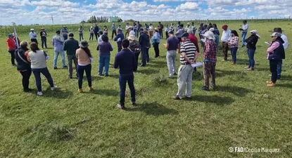 Proyecto Ganadería y Clima.
