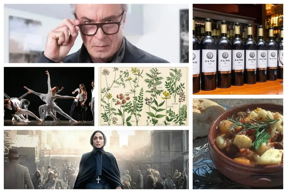 Los recomendados de la semana