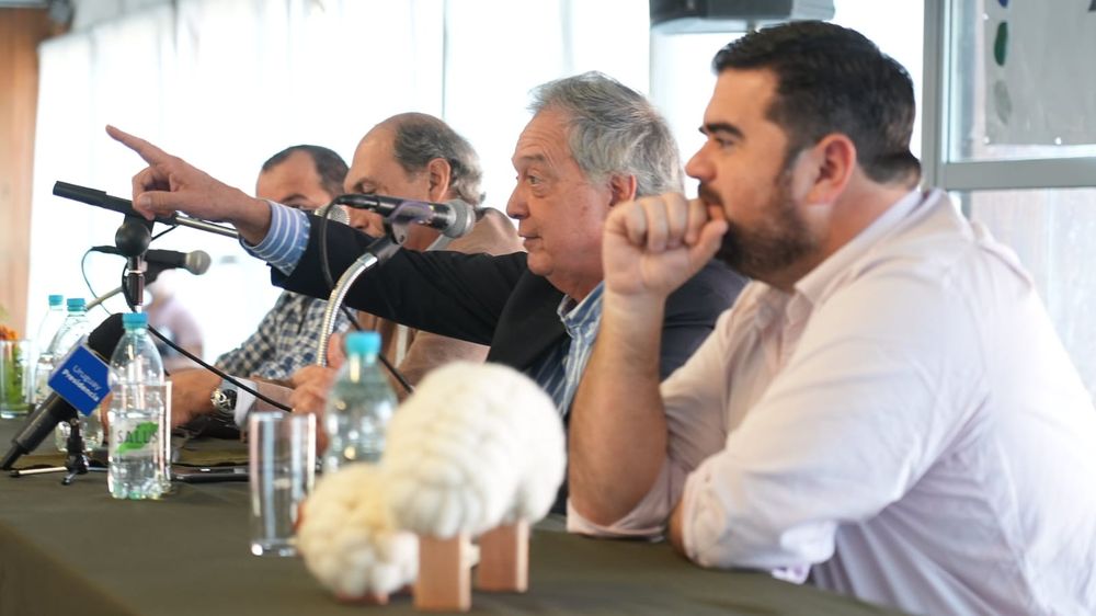 Lanzamiento de la zafra ovina.