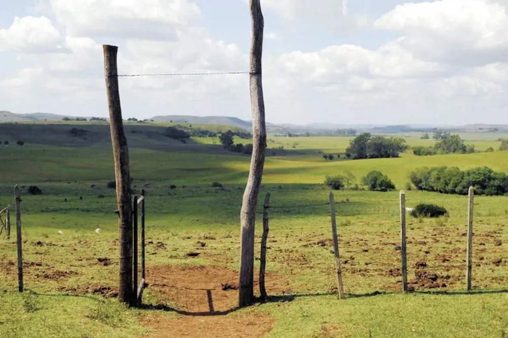 El campo natural en la mira de la investigación