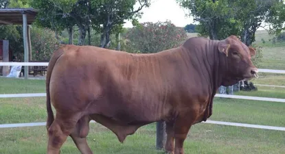 El Observador | 0013419142.webp