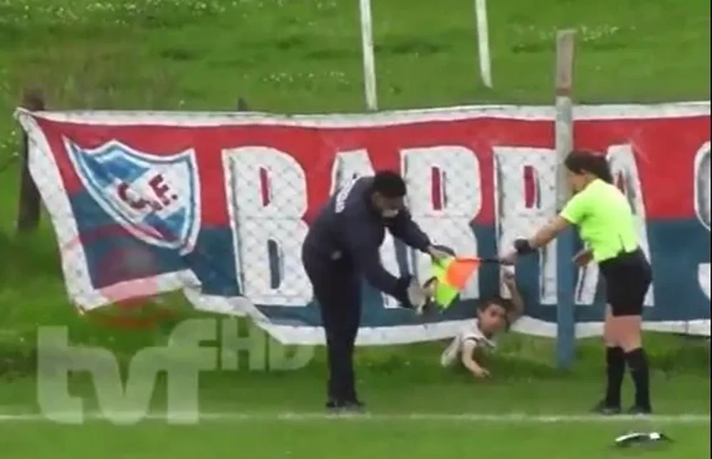 El momento en el que el tero quedó prendido del banderín y tuvieron que sacarlo