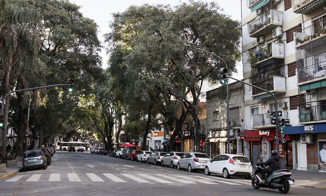 Luego de casi un año de trabajos por la construcción del ramal secundario Elcano del arroyo Vega, la Ciudad de Buenos Aires reabrió al tránsito la avenida Elcano, entre Álvarez Thomas y Zapiola.