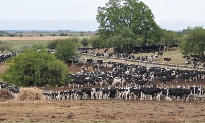 Los tambos inician una etapa importante de gestión de sus efluentes