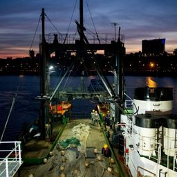 La pesca argentina alcanzó en 2025 el segundo mejor registro histórico de exportaciones