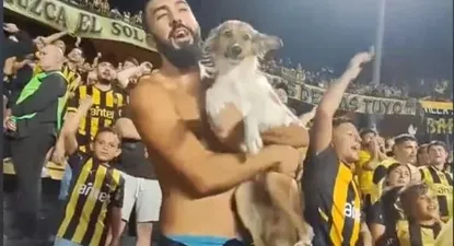 El hincha y el perro