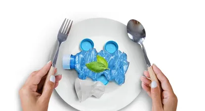 El impacto de los plásticos en la salud.