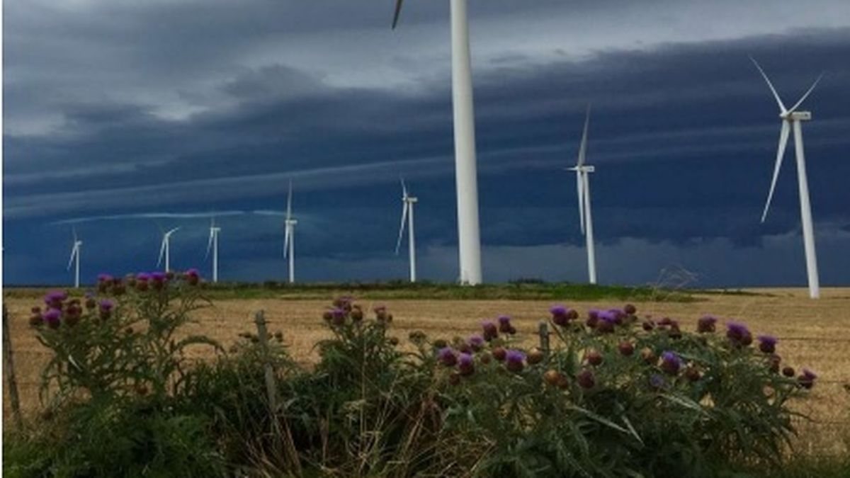 Parques eólicos en Uruguay: rentabilidad estable pese a menor viento