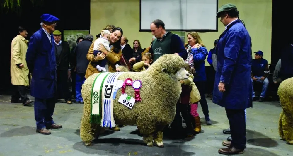 El Gran Campeón Corriedale PO en el momento de la coronación