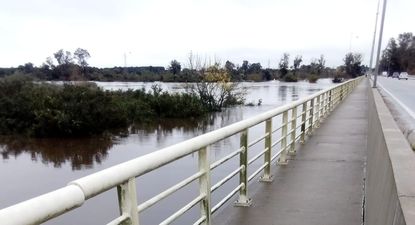 Así se ve el puente sobre el río Olimar, con el agua a punto de alcanzar su superficie por las inundaciones que sufre esa zona