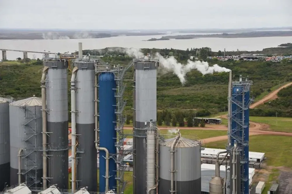 Segunda pastera de UPM podría suplir empuje económico de vecinos