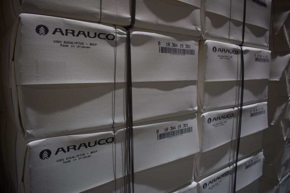 Celulosa: se afianza en lo más alto del conjunto de bienes exportadores desde Uruguay, con US$ 1.888 millones en lo que va de 2024.