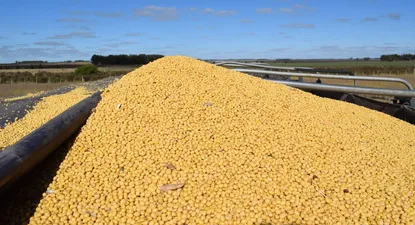 Según Ceres, lo positivo está en la afirmación de señales positivas para el sector agropecuario.