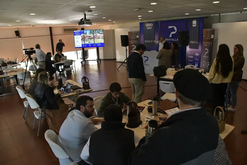 Pantalla Uruguay realizará su último remate del año en dos jornadas.