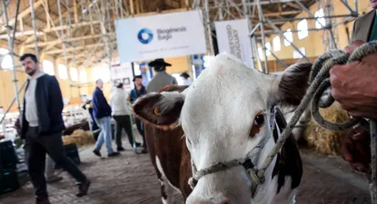 En la exposición de la ARU se pueden ver varias razas de diferentes animales.