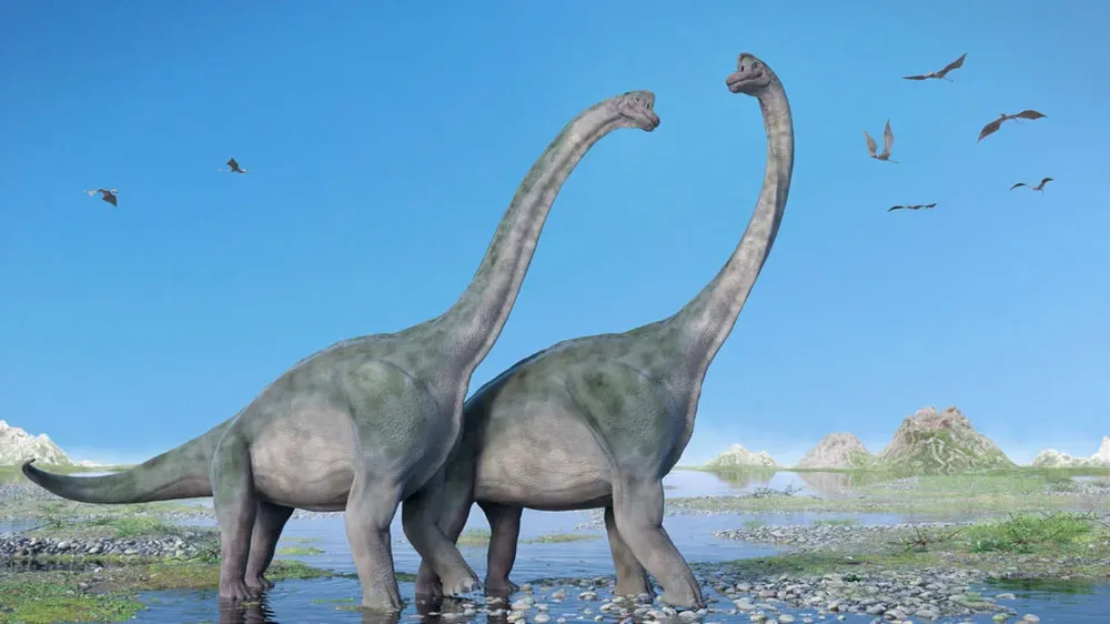 nullLos saurópodos son la rama de los sauropodomorfos que llegó al gigantismonull, explicó a BBC Mundo Apaldetti.