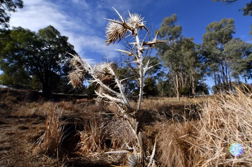 La Niña suele provocar cambios climáticos en diversas regiones, incluyendo sequías en algunas zonas y lluvias intensas en otras