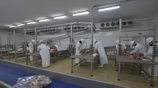 La industria frigorífica tuvo un año de faena récord con más de 2,6 millones de cabezas.