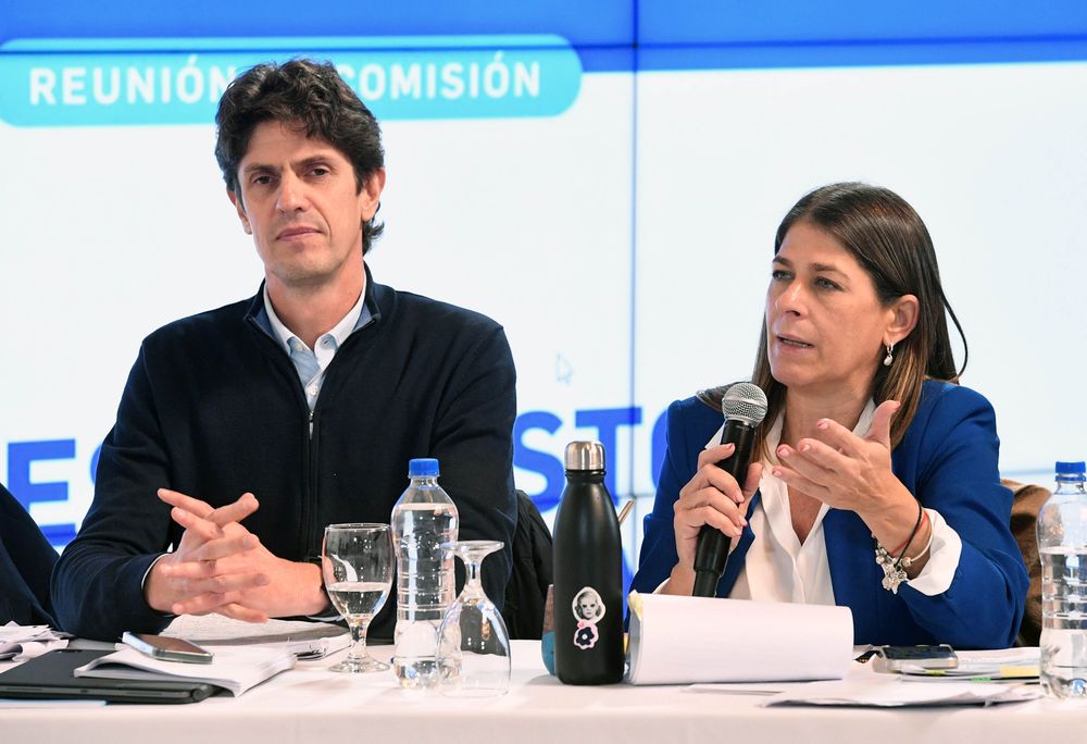 Los senadores Martin Lousteau y Guadalupe Tagliaferri durante la reunión de la Comisión de Presupuesto y Hacienda