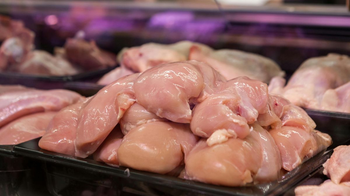 Avícolas afirman que el costo del pollo cayó 20% y advierten que la baja no se refleja en el precio que llega al consumidor