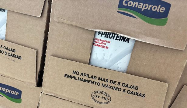 Lácteos: Conaprole lidera en las colocaciones externas y Brasil es el mercado principal.