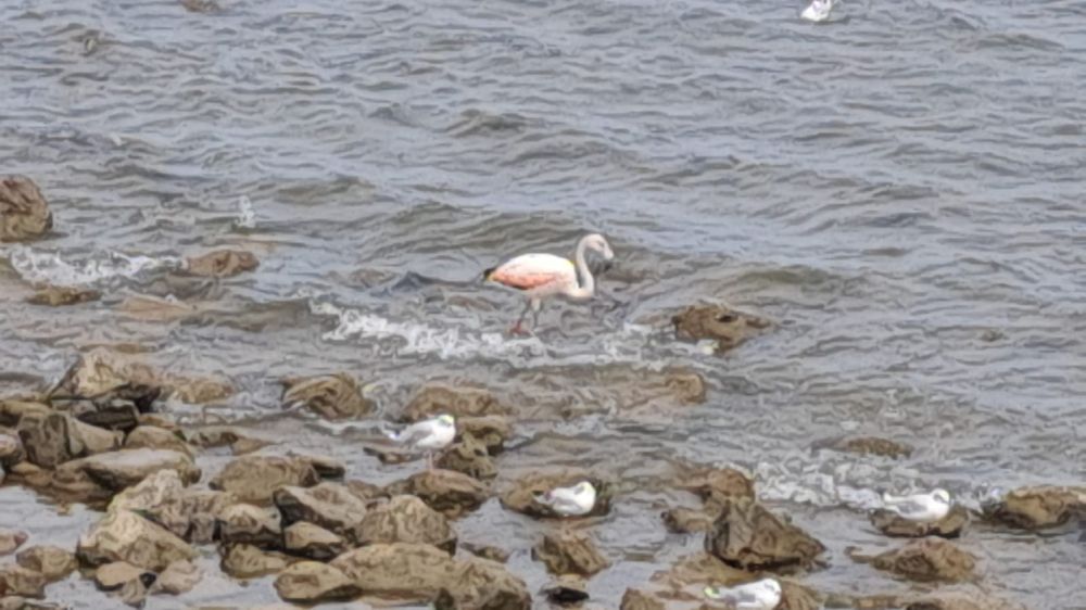 WhatsApp Image 2025-02-15 at 12.52.01 PM.jpeg