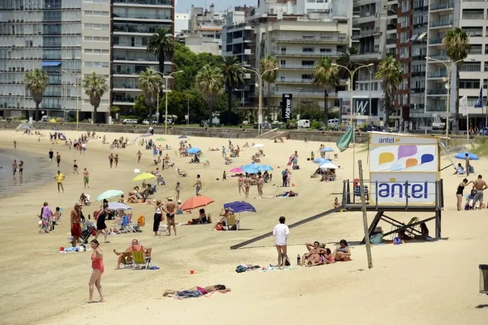 Aislada de la ciudad por las dunas y árboles, la playa Verde se divide entre la actividad náutica y la tranquilidad para los bañistas